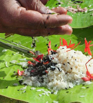 മാതാ അമൃതാനന്ദമയി സേവാ സമിതിയുടെ ആഭിമുഖ്യത്തി പിതൃദർപണം 31 ന്; രജിസ്‌ട്രേഷൻ തുടങ്ങി