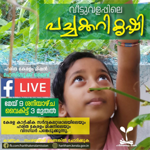 വീട്ടുവളപ്പിലെ പച്ചക്കറി കൃഷി: ഹരിതകേരളം മിഷൻ ഫേസ്ബുക്ക് ലൈവ് ഇന്ന് ഉച്ചയ്്ക്ക് മൂന്നു മണി മുതൽ