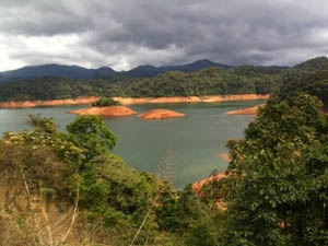 ഓർഡിനറിയിലൂടെ പ്രശസ്തമായ ഗവിയിലെ കാട്ടിൽ പോയി നമുക്ക് ഒരു ദിവസം താമസിച്ചാലോ? സഹായഹസ്തവുമായി മറുനാടൻ മലയാളി