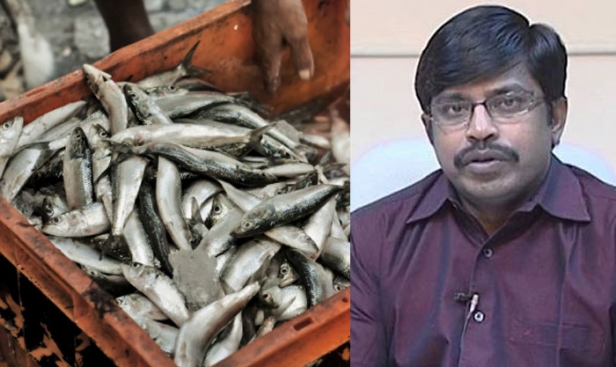 ഫോർമാലിന് പിടി വീണപ്പോൾ സിൽവർ ഹൈഡ്രജൻ ലായനി തളിച്ച് മീൻ ഇറക്കി കൊള്ളക്കാർ; കേടുകൂടാതെ ദിവസങ്ങളോളം മീനിനെ കാക്കുന്ന രാസവസ്തു ശരീരത്തെ എങ്ങനെ ബാധിക്കുമെന്നറിയാൻ പരിശോധനയ്ക്കയച്ച് ഭക്ഷ്യ സുരക്ഷ വിഭാഗം; മലയാളികളെ വിഷം തീറ്റിച്ചേ മതിയാകൂ എന്ന വാശിയിൽ ഭക്ഷ്യ മാഫിയ വളരുമ്പോൾ തടയിടാൻ സർവ്വ അടവുകളും പയറ്റി രാജ മാണിക്യം
