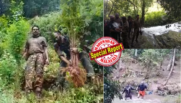 എവിടെയും എപ്പോഴും ഏതുനേരത്തും വരാൻ റെഡി; എവിടെ ജോലിക്ക് വന്നാലും അവിടം ക്ലീനാക്കിയേ മടങ്ങൂ; 1306 അടി ഉയരത്തിലുള്ള വെട്ടുമലയിൽ നിന്ന് മൂന്ന് കോടിയുടെ കഞ്ചാവ് ചെടികൾ തീയിട്ട് നശിപ്പിച്ച് മടങ്ങിയെത്തിയത് ഭവാനി പുഴ നീന്തിക്കടന്ന്; ആദിവാസി ബാലികയെ കൂട്ടമാനഭംഗം ചെയ്ത കേസിലെ പ്രതികളെ അകത്താക്കിയത് വെറും 12 മണിക്കൂറിൽ; കഞ്ചാവ്-മദ്യ-പെൺവാണിഭ മാഫിയകളെ വിറപ്പിച്ച് അട്ടപ്പാടിയെ ക്ലീനാക്കിയ സ്മാർട്ട് എഎസ്പി സുജിത് ദാസിന്റെ സ്ഥലം മാറ്റത്തിന് പിന്നിൽ രാഷ്ട്രീയ ഗൂഢാലോചനയോ?
