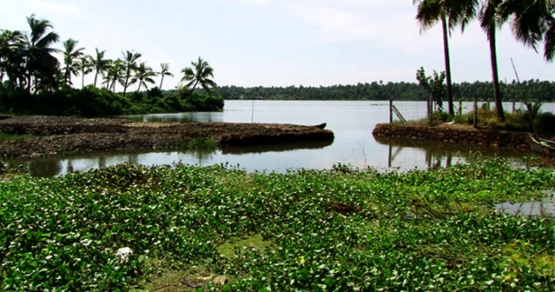 കൈയേറ്റം വ്യാപകമായതോടെ നീർച്ചാലായി കനോലി കനാൽ; ചാവക്കാട് താലൂക്കിൽ മാത്രം കൈയേറിയിട്ടുള്ളത് 5.454 ഹെക്ടർ; സർക്കാർ തലങ്ങളിൽ കനാലിനെ സംരക്ഷിക്കാൻ ഇതുവരെ യാതൊന്നും നടന്നില്ല