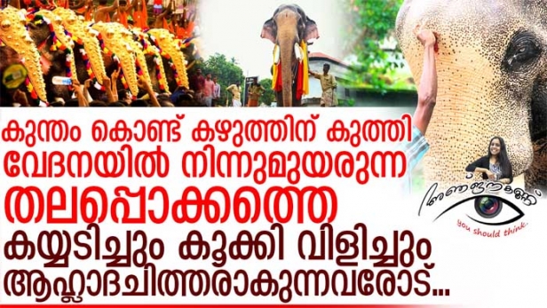 തിരക്കു പിടിച്ച, ശബ്ദ കോലാഹലങ്ങൾ നിറഞ്ഞ സ്ഥലത്തു ആനകളെ എഴുന്നള്ളിക്കും ഒരുപാട് സഹി കെടുമ്പോൾ അവർ പൊട്ടി തെറിക്കാൻ ശ്രമിക്കും; അപ്പോൾ കൂടി നിന്നവർ ഏറ്റു പാടും ഈ ആന മനുഷ്യനെ കൊല്ലിയാണ്, ഇത് എല്ലാവരെയും ദ്രോഹിക്കുമെന്ന്; നിരാലംബനായ ഒരു സാധു മൃഗത്തിന്റെ വേദനയിൽ പ്രീതിപെടുന്ന ദൈവമേത്? കരിയും കരിമരുന്നും.. കേരളക്കരയിലെ ചൂട് പിടിച്ച ചർച്ചകൾ അരങ്ങേറുമ്പോൾ