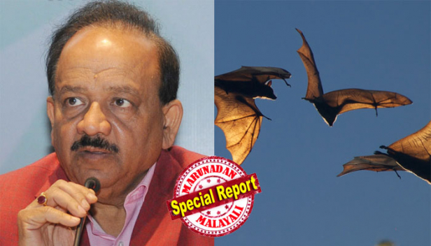 രണ്ടാം ഘട്ടത്തിലും നിപ എത്തിച്ചത് പഴംതീനി വവ്വാലുകളെന്ന് സ്ഥിരീകരണം; നാഷണൽ വൈറോളജി ഇൻസ്റ്റിറ്റ്യൂട്ട് പരിശോധിച്ച 36 സാമ്പിളുകളിൽ 12 എണ്ണത്തിലും വൈറസ് സാന്നിധ്യം; 2018 ൽ നിപ ബാധയുണ്ടായ സമയത്തെ 19 ശതമാനം സാമ്പിളിലും വൈറസ് ഉണ്ടായിരുന്നതായി റിപ്പോർട്ട്; വിവരം ലോക്സഭയിൽ വ്യക്തമാക്കി കേന്ദ്ര ആരോഗ്യമന്ത്രി ഡോ.ഹർഷ വർധൻ; പരാമർശം അടൂർ പ്രകാശിനും ഹൈബി ഈഡനും നൽകിയ മറുപടിക്കിടെ