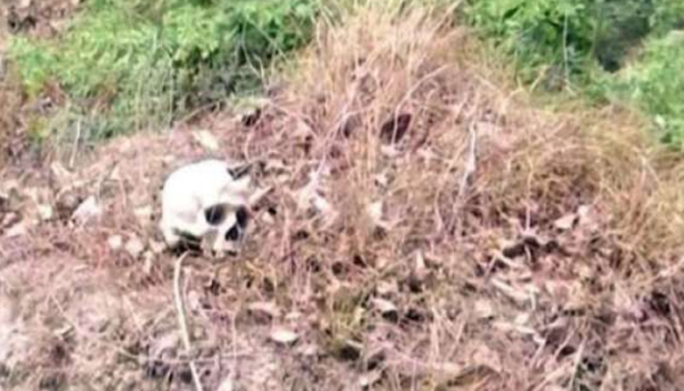 മസ്തിഷ്കജ്വരം ബാധിച്ച് കുട്ടികൾ മരിച്ച ബിഹാറിലെ ആശുപത്രി പുതിയ വിവാദത്തിൽ; ആശുപത്രി പരിസരത്ത് നിന്ന് തലയോട്ടികൾ കണ്ടെത്തി; ഏറ്റെടുക്കാനാളില്ലാത്ത ശവശരീരങ്ങൾ മറവ് ചെയ്തതിന്റെ അവശിഷ്ടങ്ങളാകാമെന്ന് അധികൃതർ