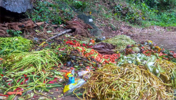 പച്ചക്കറി കയറ്റിവന്ന ലോറികളിൽ നിന്ന് കോടികളുടെ ഖൈനി ഉത്പന്നങ്ങൾ പിടിച്ചിട്ടും രക്ഷയില്ല; അതിർത്തിയിൽ ഉപേകഷിച്ച പച്ചക്കറി ചാക്കുകൾ കഞ്ചാവും പുകയില ഉത്പന്നങ്ങളും കടത്തി മടങ്ങിയവർ ഉപേക്ഷിച്ചത് തന്നെ; ആന്ധ്രയിൽ നിന്ന് കഞ്ചാവ് കടത്തുന്നതിന് അസം സ്വദേശിക്ക് പ്രതിദിന കൂലി 5000 രൂപ; സംസ്ഥാനത്ത് ലഹരി കഞ്ചാവ് വേട്ടയ്ക്ക് ഒരുങ്ങി എക്സൈസ്