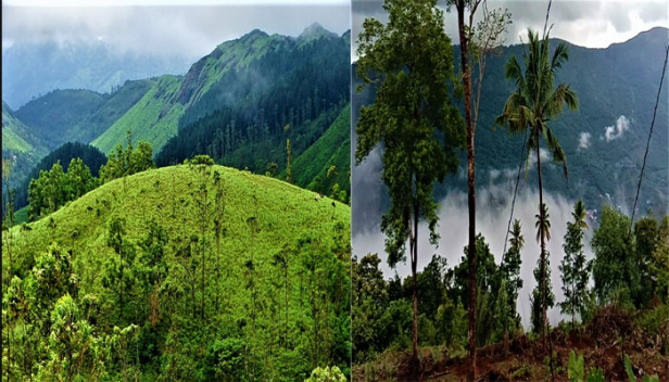 നിനച്ചിരിക്കാതെ വരുന്ന മഴയും കോടമഞ്ഞിൽ മുങ്ങിയ പാതകളും കുളിർകാറ്റും നിറഞ്ഞ വാഗമൺ സഞ്ചാരികളുടെ മനം കവരുന്നു; പൈൻ മരത്തോട്ടങ്ങളും തങ്ങൾ പാറയും മുതൽ ഓർക്കിഡേറിയം വരെ സഞ്ചാരികൾക്ക് നൽകുന്നത് കാഴ്ച്ചകളുടെ വസന്തം; ബോട്ടിംഗും ട്രക്കിംഗും ക്യാമ്പ് ഫയറും ഉൾപ്പെടെ സഞ്ചാരികൾക്ക് ആസ്വദിക്കാൻ ഇവിടെ എല്ലാം സജ്ജം