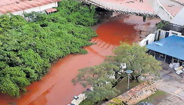 കനാലിലെ വെള്ളത്തിന്റെ നിറംമാറ്റം സംബന്ധിച്ച് വിശദമായ പരിശോധന നടത്താതെ അധികൃതർ; ചുവപ്പ് നിറം വന്നത് രാസമാലിന്യമെന്ന ആശങ്കയിൽ പ്രദേശവാസികൾ; ചെങ്കൽപ്പൊടി കലർന്നെന്ന് പൊലീസും