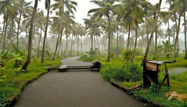 കാലവർഷത്തിന് പിന്നാലെ സംസ്ഥാനത്ത് തുലാവർഷത്തിന് തുടക്കം; മഴ കനക്കും, നാലു ജില്ലകളിൽ ഓറഞ്ച് അലർട്ട്; ഇടിയോടു കൂടിയ മഴയ്ക്കും കാറ്റിനും സാധ്യതയുണ്ടെന്ന് കാലാവസ്ഥാ നിരീക്ഷണ കേന്ദ്രം