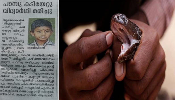 'എട്ടുവയസുകാരൻ പാമ്പ് കടിയേറ്റ് മരിച്ചു..ചികിത്സ തേടിയത് വിഷവൈദ്യന്റെ അടുത്ത് ': ശാസ്ത്രീയ ചികിത്സാ സൗകര്യമുള്ള ആശുപത്രിയിൽ എത്തിക്കാതെ ഒറ്റമൂലി പ്രയോഗിച്ച് പാമ്പുകടിയേറ്റയാളെ രക്ഷിക്കാൻ കഴിയുമോ? കല്ല് ശരീരത്തിൽ വച്ചാലോ പച്ചിലകൾ പിഴിഞ്ഞൊഴിച്ചാലോ പാമ്പുകളുടെ വിഷത്തിന് മരുന്നാവില്ലെന്നും കുഞ്ഞുങ്ങളുടെ ജീവൻ വച്ച് കളിക്കരുതെന്നും വിദഗ്ദ്ധർ