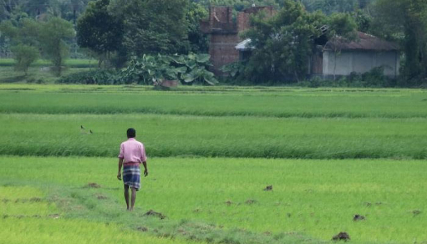 കാർഷിക കടാശ്വാസത്തിനുള്ള അപേക്ഷകൾ നവംബർ 15 വരെ സമർപ്പിക്കാം; പരിധിയിൽ വരുന്നത് ഇടുക്കി, വയനാട് ജില്ലകളിൽ 2018 ഓഗസ്റ്റ് 31 വരെയും മറ്റ് ജില്ലകളിൽ 2014 ഡിസംബർ 31 വരെയുമെടുത്ത കാർഷിക വായ്പകൾ