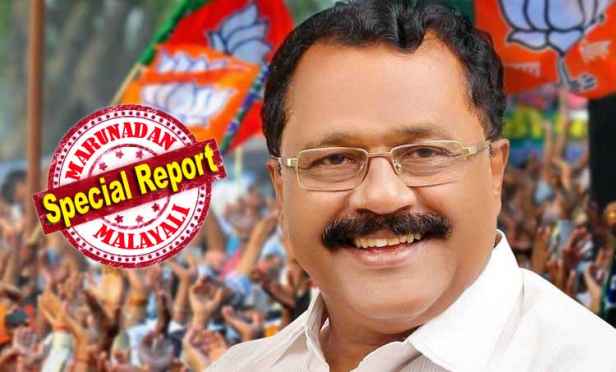 അടുത്ത ഘട്ടത്തിൽ തമിഴ്നാട്ടിലും എൻട്രി ഉറപ്പിച്ച കേന്ദ്ര നേതൃത്വത്തിന് കേരളത്തിൽ മാത്രം വിശ്വാസം പോരാ; പിള്ളയുടെ നയതന്ത്ര വൈദഗ്ധ്യം കൊണ്ട് ഗുണമില്ലെന്ന് തിരിച്ചറിഞ്ഞപ്പോൾ പ്രമോഷൻ നൽകി കൊണ്ടു നാടുകടത്തൽ; അധികാരം ഇല്ലാതിരുന്നിട്ടും അടിമൂക്കുന്ന കേരളാ ഘടകം ഇനി കേന്ദ്ര നേതൃത്വത്തിന്റെ നേരിട്ടുള്ള നിയന്ത്രണത്തിൽ; ഗ്രൂപ്പു സമവാക്യങ്ങൾ മറികടന്നു പുതിയ പ്രസിഡന്റിനെ കണ്ടെത്താൻ തിരക്കിട്ട നീക്കം; ശ്രീധരൻ പിള്ള മിസോറാം ഗവർണറായ വഴിയിങ്ങനെ