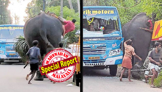 ശിവ... അടങ്ങെടാ....! മനോജിന്റെ സ്നേഹം ചാലിച്ച വിളിയിൽ തിരുനക്കര കൊമ്പന്റെ കലിയടങ്ങി; രണ്ടരമണിക്കൂർ നാടും നഗരവും വിറപ്പിച്ച തിരുനക്കര ശിവനെ തളച്ചത് മുൻ പാപ്പാൻ മനോജിനെ തിരികെ വിളിപ്പിച്ച്; സ്വകാര്യബസ് തകർത്തുംയാത്രക്കാരെ ഭീതിയിലാഴ്ത്തിയും കടന്നുപോയ മണിക്കൂറുകളിൽ നിസ്സഹായരായി പൊലീസും ദേവസ്വം ബോർഡും; പത്ത് വർഷം ശിവനെ പരിചരിച്ച പാപ്പാനെ തിരികെ നിയമിച്ച് ദേവസ്വത്തിന്റെ ദ്രുതകർമ്മ നടപടിയും; ആനയ്ക്ക് മദപ്പാടില്ലെന്ന് വ്യക്തമാക്കി ദേവസ്വം