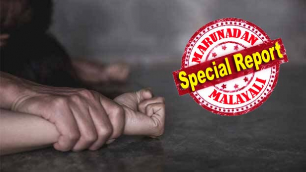 കുട്ടിയെ ആശുപത്രിയിൽ കൊണ്ടു പോകാൻ ഓട്ടോറിക്ഷ വിളിച്ചതുമുതൽ തുടങ്ങിയ പരിചയം; പിന്നീട് സഹായി എന്ന നിലയിൽ നിന്ന് വഴിമാറിയത് കാമുകനിലേക്ക്; വീട്ടുകാരെ പരിചയപ്പെടുത്താമെന്ന് പറഞ്ഞ് സ്വന്തം വീട്ടിലേക്ക് വിളിച്ചുവരുത്തി വിവസ്ത്രയാക്കി ദൃശ്യങ്ങൾ പകർത്തി; പിന്നീട് ഭീഷണിപ്പെടുത്തി യുവതിയെ ശാരീരികമായി പീഡിപ്പിച്ചത് നിരവധി തവണ; ദൃശ്യം പുറത്ത് വിടുമെന്ന് പറഞ്ഞു വിദേശത്ത് നിന്ന് ഭർത്താവ് അയച്ചുകൊടുത്ത പണം തട്ടുന്നതും പതിവാക്കി; പ്രവാസിയുടെ ഭാര്യയെ വഞ്ചിച്ച പ്രതി പിടിയിൽ