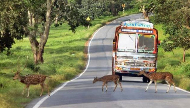 ബന്ദിപ്പൂർ വനപാതയ്ക്ക് ബദൽപാത നിർമ്മിക്കാൻ ആശയവുമായി കേന്ദ്രം സുപ്രീംകോടതിയിൽ;  കേരളത്തിന്റേയും കർണാടകയുടേയും നാല് ജില്ലാ റോഡുകളെ ബന്ധിപ്പിച്ച പുതിയ സംസ്ഥാനപാത നിർമ്മിക്കാൻ നീക്കം; അവശ്യമായ ഭൂമി ഇരു സർക്കാരുകളും കണ്ടെത്തണം; വനപാതയിലെ രാത്രിയാത്ര ഒഴിവാക്കിയ പശ്ചാത്തലത്തിൽ കേന്ദ്ര ഇടപെടൽ കേരളത്തിന്റെ നീണ്ടനാളത്തെ നിയമപോരാട്ടത്തിന് പിന്നാലെ