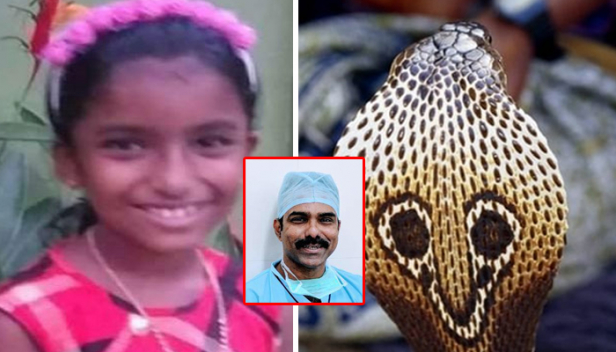 ആന്ററി വെനം നൽകാൻ ബത്തേരിയിലെ ഡോക്ടർ പേടിച്ചത് എന്തിന്? രോഗിയോടുള്ള സ്നേഹക്കുറവ് കാരണമല്ല..സ്വന്തം തടിയോടുള്ള സ്നേഹമാണ്; ഇതു തീർത്തും നന്നല്ല; എന്തും ചെയ്യുവാനുള്ള മനക്കരുത്ത്, ജീവൻ രക്ഷിക്കുവാനുള്ള മനക്കരുത്ത് ഡോക്ടർമാർക്ക് നല്കണം: ഐഎംഎ കേരള ചാപ്റ്റർ വൈസ് പ്രസിഡന്റ് ഡോ. സുൾഫി നൂഹു എഴുതുന്നു