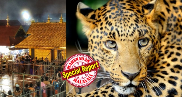 ബാബറി ദിനത്തിൽ സന്നിധാനത്ത് ഒരുക്കിയത് പഴുതച്ച സുരക്ഷ; ബെയ്ലി പാലത്തിൽ കാവൽ നിന്ന പൊലീസുകാർ വിരണ്ടോടിയത് കണ്ട് ഞെട്ടി കമാന്റോകൾ; പന്നിക്കുഴിക്ക് അടുത്ത് നിന്ന് ജീവനും കൊണ്ട് ഓടിയവർ അഭയം തേടിയത് ദേവസ്വം മെസിൽ; കുഴിയിൽ ഒളിച്ച വില്ലനെ ആകാശത്തേക്ക് നിറയൊഴിച്ച് കാടു കയറ്റിയത് കേന്ദ്ര സേന; ഡിസംബർ ആറിന് പുലർച്ചെ ശബരിമലയിൽ വെടി പൊട്ടിയത് കാട്ടിൽ നിന്നെത്തിയ പുലിയെ ഓടിക്കാൻ