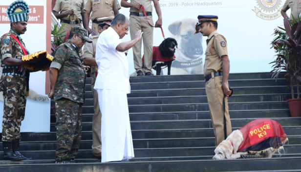 തെളിവുശേഖരിക്കാനും പൊലീസ് ലക്ഷ്യമിട്ടയാളെ ആക്രമിച്ച് കീഴടക്കാനും മിടുക്കരെത്തി; കെ 9 സ്ക്വാഡിൽ പുതുതായി എത്തിയത് 20 നായ്ക്കുട്ടികൾ; സേവനകാലാവധി പൂർത്തിയാക്കി വിരമിക്കുന്ന 12 പൊലീസ് നായ്ക്കളെ മെഡൽ അണിയിച്ച് യാത്ര അയപ്പും