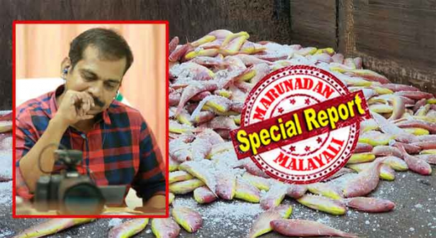 പ്രതിഷേധങ്ങളുടെ 'സെറ്റിട്ട്' ചാനലുകളുടെ പ്രിയങ്കരനായി; ഡെങ്കിപ്പനിയെ തോൽപ്പിക്കാൻ ബിജെപി ഓഫീസിലും ഫോഗിങ് നടത്തിയ കമ്മ്യൂണിസ്റ്റുകാരൻ; കുമ്മനത്തെ ബോംബെറിഞ്ഞ് വില്ലനായി; മേയർ ബ്രോ എംഎൽഎയായപ്പോൾ എത്തിയത് അരോഗ്യ സ്റ്റാൻഡിങ് കമ്മറ്റി ചെയർമാൻ പദവിയിൽ; സെറ്റിട്ട് 'വിഷ മീൻ' പിടിച്ച ഐപി ബീനുവിന്റെ വിരുത് പൊളിച്ച് ഭക്ഷ്യസുരക്ഷാ ലാബിന്റെ റിപ്പോർട്ട്; നശിപ്പിച്ചത് ഫോർമാലിൻ ഇല്ലാത്ത നല്ല ഒന്നാന്തരം മത്സ്യം; പ്രശാന്തില്ലാത്ത തിരുവനന്തപുരം കോർപ്പറേഷൻ പുലിവാലു പിടിക്കുമ്പോൾ