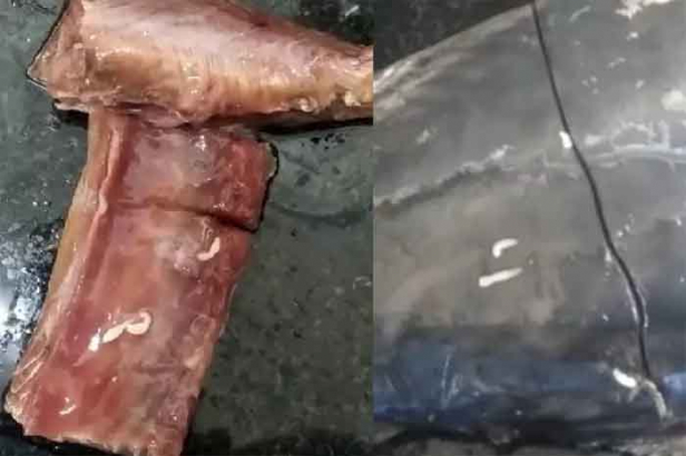 ക്രിസ്തുമസ് ആഘോഷിക്കാൻ വാങ്ങിയ ചൂര മീൻ വീട്ടിലെത്തി നോക്കിയപ്പോൾ കണ്ടത് പുഴുക്കൾ നുരയ്ക്കുന്നത്; കച്ചവടക്കാരോട് പരാതിപ്പെട്ടപ്പോൾ ലഭിച്ചത് പണം തിരികെ നൽകാമെന്ന മറുപടി; കടയ്ക്കൽ ഐരക്കുഴി ചന്തയിൽ മോശം മീൻ വിറ്റവർക്കെതിരെ നടപടി ആവശ്യപ്പെട്ട് യുവാവ് ഭക്ഷ്യ സുരക്ഷാ ഉദ്യോഗസ്ഥർക്ക് പരാതി നൽകി