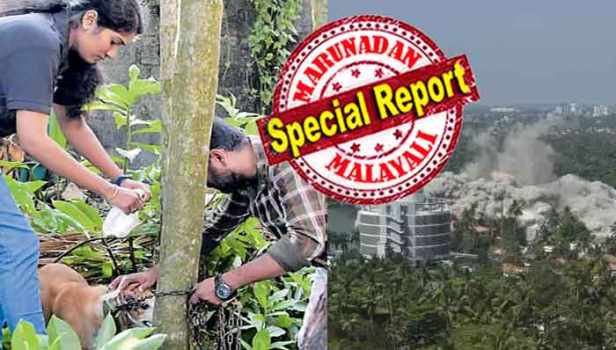 ഒരു നിവർത്തിയുമില്ലാതെ കിച്ചുവിനെ വീട്ടിൽ നിർത്തി പോയ ബൈജുവും രാധയും; സ്ഫോടന സൈറൻ മുഴങ്ങുന്നതിന് തൊട്ടു മുമ്പ് കുറുമ്പനെ രക്ഷിക്കാൻ ഓടിയെത്തിയത് മൃഗ സ്നേഹി കൂട്ടായ്മ; ഫ്ളാറ്റ് പൊളിഞ്ഞു വീഴുന്നതിന് മുമ്പ് ഈ നായയും രക്ഷപ്പെട്ടു; ഗൂഗിളിൽ 'കൊച്ചി' ഉച്ചയ്ക്ക് രണ്ടിൽ എങ്കിൽ രാത്രിയോടെ അഞ്ചിലേക്കും താഴ്ന്നു; 'പൊളിക്കൽ ടൂറിസം' കൊച്ചിക്ക് ലഹരിയാകുമ്പോൾ