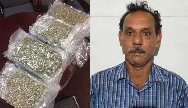 കുന്ദമംഗലത്ത് വൻ കഞ്ചാവ് വേട്ട; പത്ത് കിലോ കഞ്ചാവുമായി ആരാമ്പ്രം സ്വദേശി പിടിയിലായി; വിപണിയിൽ അഞ്ച് ലക്ഷം രൂപ വില വരുന്ന കഞ്ചാവു വേട്ട നടന്നത് നാർക്കോട്ടിക്ക് സ്പെഷ്യൽ ആക്ഷൻ ഫോഴ്സ്