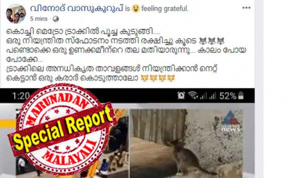 കൊച്ചി മെട്രോ ട്രാക്കിൽ പൂച്ച കുടുങ്ങി.... ഒരു നിയന്ത്രിത സ്ഫോടനം നടത്തി രക്ഷിച്ചു കൂടെ ? പണ്ടൊക്കെ ഒരു ഉണക്കമീന്റെ തല മതിയാരുന്നു... കാലം പോയ പോക്കേ... ട്രാക്കിലെ അനധികൃത താവളങ്ങൾ നിയന്ത്രിക്കാൻ നെറ്റ് കെട്ടാൻ ഒരു കരാർ കൊടുത്താലോ ? മെട്രോ ട്രാക്കിലെ പൂച്ചയെ രക്ഷിക്കാനുള്ള ചാനൽ ലൈവ് കണ്ട് ട്രോളുകളുമായി സോഷ്യൽ മീഡിയ; എലിയുണ്ടായിരുന്നുവെങ്കിൽ പൂച്ചയ്ക്ക് ക്ഷീണമുണ്ടാകില്ലായിരുന്നുവെന്ന് പറയുന്ന റിപ്പോർട്ടറും; കൊച്ചി മെട്രോയെ കുട്ടി പൂച്ച സ്തംഭിപ്പിക്കുമ്പോൾ