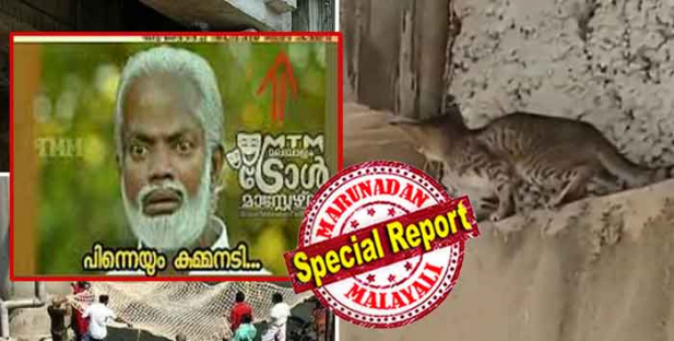 ഉദ്ഘാടന ദിവസം മോദിക്കൊപ്പമെത്തിയ കുമ്മനത്തെ ട്രോളാൻ ചർച്ചയാക്കിയത് പൊന്നുരുക്കുന്നിടത്ത് പൂച്ചയ്ക്ക് എന്ത് കാര്യമെന്ന പഴഞ്ചെല്ല്; ഒടുവിൽ പാളത്തിനിടയിലേക്ക് ഓടിക്കയറിയ പൂച്ച വലച്ചതുകൊച്ചി മെട്രോ അധികാരികളേയും ഫയർഫോഴ്സിനേയും പൊലീസിനേയും; വെറ്റില സാക്ഷിയായത് വമ്പൻ ഗതാഗത കുരുക്കിനും; മെട്രോയിലെ 'കുമ്മനടി' ചർച്ചയാക്കാൻ ഇപ്പോഴിതാ 'കുറിഞ്ഞി പൂച്ചയും'