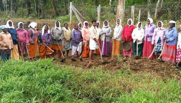 തൊഴിലാളികൾക്ക് വേതനം മുടങ്ങിയതോടെ പ്രവർത്തനം താറുമാറായി: തൊഴിലുറപ്പ് പദ്ധതിയിൽ സംസ്ഥാനത്തിനു കുടിശികയായ മുഴുവൻ തുകയും അനുവദിച്ച് കേന്ദ്രസർക്കാർ; രണ്ട് ഘട്ടങ്ങളിലായി സംസ്ഥാന സർക്കാരിന് നൽകുന്നത് 1227 കോടി രൂപ; പദ്ധതി നടത്തിപ്പുസംബന്ധിച്ച് കേന്ദ്ര ഗ്രാമവികസന മന്ത്രാലയത്തിന് സംസ്ഥാനം നൽകുന്ന രേഖകളിൽ വ്യക്തയില്ലെന്നും ആരോപണം