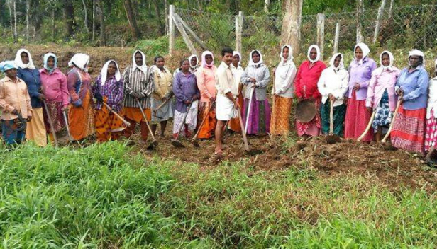 തൊഴിലാളികൾക്ക് വേതനം മുടങ്ങിയതോടെ പ്രവർത്തനം താറുമാറായി: തൊഴിലുറപ്പ് പദ്ധതിയിൽ സംസ്ഥാനത്തിനു കുടിശികയായ മുഴുവൻ തുകയും അനുവദിച്ച് കേന്ദ്രസർക്കാർ; രണ്ട് ഘട്ടങ്ങളിലായി സംസ്ഥാന സർക്കാരിന് നൽകുന്നത് 1227 കോടി രൂപ; പദ്ധതി നടത്തിപ്പുസംബന്ധിച്ച് കേന്ദ്ര ഗ്രാമവികസന മന്ത്രാലയത്തിന് സംസ്ഥാനം നൽകുന്ന രേഖകളിൽ വ്യക്തയില്ലെന്നും ആരോപണം