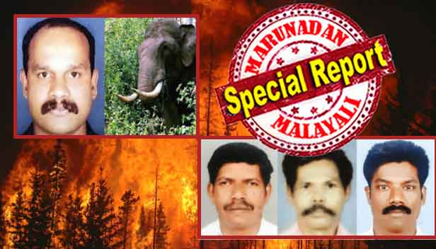 കാട്ടാന ആക്രമണത്തിൽ മരിച്ചത് നാട്ടുകാരൻ ആയിരുന്നെങ്കിൽ 10 ലക്ഷം രൂപ സഹായം ലഭിക്കും; ബിജു സർക്കാർ ഉദ്യോഗസ്ഥൻ ആയതിനാൽ ഇൻഷുറൻസും മറ്റും ചേർത്ത് കിട്ടുക പകുതി തുക; ആദിവാസി വനം വാച്ചർമാർ വനംവകുപ്പിന്റെ വേട്ടമൃഗങ്ങൾ; ആദിവാസികളെ വാച്ചർമാരാക്കിയത് മാവോയിസ്റ്റ് വേട്ടയ്ക്ക് സഹായത്തിന്; തൃശൂരിൽ മൂന്നു പേർ കാട്ടുതീയിൽ എരിഞ്ഞടങ്ങിയതും റാന്നിയിൽ കാട്ടാനയുടെ കൊമ്പിന് ഇരയായതും മേലാളന്മാരുടെ അനാസ്ഥ കാരണം: പരിശീലനം കിട്ടിയ ബീറ്റ് ഓഫീസർമാരും പ്രതിക്കൂട്ടിൽ