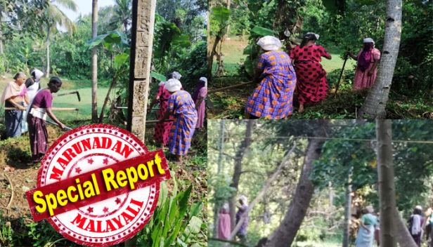 ഒരുമീറ്റർ അകലമില്ല; കൂട്ടംകൂടരുതെന്ന മുന്നറിയിപ്പും ബാധകമല്ല; കൊറോണ പേടിയിൽ സംസ്ഥാനം ലോക് ഡൗൺ ചെയ്തിട്ടും തൊഴിലുറപ്പ് തൊഴിലാളികൾക്ക് അവധി നൽകാതെ തദ്ദേശ സ്ഥാപനങ്ങൾ; നൂറുകണക്കിന് ആളുകൾ ഒന്നിച്ച് തൊഴിലെടുക്കുന്നത് യാതൊരു സുരക്ഷാ മാനദണ്ഡങ്ങളും പാലിക്കാതെ; കുടിവെള്ളം പോലും ഒരു ഗ്ലാസിൽ നിന്ന്; നിശബ്ദരായി ആരോഗ്യ വകുപ്പും