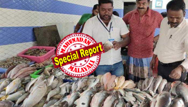 ലോക്ക് ഡൗൺ മുതലെടുത്ത് സംസ്ഥാനത്ത് പഴകിയ മീനിന്റെ ചാകര; ഇതരസംസ്ഥാനങ്ങളിൽ നിന്ന് കേരളത്തിലെത്തിക്കുന്നത് മാസങ്ങൾ പഴക്കമുള്ള മീനുകൾ; വിവിധ ജില്ലകളിൽ നിന്നായി 29,000 കിലോ പഴകിയ മീൻ പിടികൂടി ഭക്ഷ്യവകുപ്പ്; ഫോർമാലിനിൻ കലർന്ന മീനും വിൽപനയ്ക്ക; പരിശോധന ശക്തം