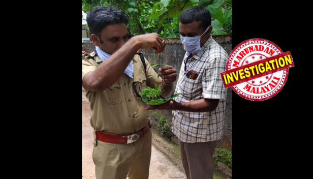 കാട് മൂടിക്കിടന്ന പറമ്പിലേക്ക് പതിവായി രണ്ടുയുവാക്കൾ വെള്ളമൊഴിക്കാൻ പോകുന്നത് കണ്ട നാട്ടുകാർക്ക് സംശയം; സ്പെഷ്യൽ സ്ക്വാഡ് രഹസ്യ നിരീക്ഷണം നടത്തിയപ്പോൾ കണ്ടത് സുഹൃത്തുക്കളായ കർഷകരെ; ലോക് ഡൗൺ കാലത്ത് ബോറടി മാറ്റാൻ സ്വകാര്യ വസ്തുവിൽ നട്ടുപരിപാലിച്ചത് 12 കഞ്ചാവ് തൈകൾ; ഇരുവരും കൃഷിക്കിറങ്ങിയത് ലോക് ഡൗണിൽ വരവ് നിന്നതോടെ