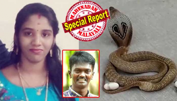 കരിമൂർഖൻ കടിച്ചാൽ ഏതുറക്കത്തിൽ നിന്നും ഞെട്ടിയുണരും; വേദനാജനകമായ കടിയേറ്റിട്ടും ഉണരാതെ ഉത്ര ആണ്ടുപോയത് മയക്കത്തിലേക്കും മരണത്തിലേക്കും; ടൈലുകൾ പാകിയ എസി മുറിയിൽ എങ്ങനെ പാമ്പ് കയറിയെന്ന് യാതൊരു പിടിയുമില്ലാതെ വീട്ടുകാർ; സർപ്പദോഷത്തിനു ശാസ്ത്രീയമായ അടിത്തറയില്ലെന്നും മരണം പഠനവിഷയമെന്നും വിദഗ്ദർ; പകവെച്ച് പാമ്പുകൾ കൊത്തില്ലെന്നും സംഭവം പരിശോധിക്കേണ്ടതെന്നും മറുനാടനോട് വാവാ സുരേഷ്; വിശദീകരിക്കാൻ കഴിയാത്ത ദാരുണ മരണമായി അഞ്ചലിലെ ഉത്രയുടെ വിയോഗം