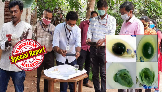 പച്ചഉണ്ണിയുള്ള മുട്ടകൾ ഹിറ്റായതോടെ ലീഗ് ബന്ധം അന്വേഷിച്ച് നാട്ടുകാർ; ഒതുക്കുങ്ങൽ സ്വദേശി ശിഹാബിന്റെ കോഴികൾ ഇടുന്ന പച്ച മുട്ട ഒന്നിന് 150 മുതൽ 1000 രൂപയ്ക്കു വരെ വിൽപന; പച്ചനിറത്തിന്റെ രഹസ്യ തേടി മണ്ണുത്തി വെറ്റിനറി കേളേജിൽ നിന്നും അനേഷണ സംഘം; മുട്ടയുടെ സാമ്പിളുമായി പോയെങ്കിലും ചിലപ്പോൾ കോഴി തന്നെ വേണ്ടി വന്നേക്കുമെന്ന് ഗവേഷക സംഘം