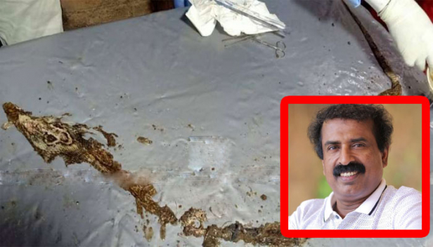 സർപ്പദോഷം എന്നൊരു അഖിലേന്ത്യാ ഉഡായിപ്പ് ഉണ്ട്; അതിന് വേണ്ടി മാത്രം പ്രവർത്തിക്കുന്ന ഒരു എക്സ്ക്ലൂസീവ് ഷോറൂം ആലപ്പുഴ ജില്ലയിൽ കാണാനാവും; അന്ധവിശ്വാസങ്ങൾ കുറ്റകൃത്യങ്ങളുടെ ഇന്ധനശക്തിയായി മാറുന്ന രാജ്യാന്തര മോഡൽ കേരളത്തിലും വ്യാപകമാണ്; അന്ധവിശ്വാസങ്ങളുടെ അനോഫിലസ് കൊതുകുകളായി മാധ്യമങ്ങൾ മാറിയിട്ടുണ്ട്; സി രവിചന്ദ്രൻ എഴുതുന്നു; കടിയേറ്റ ജനത