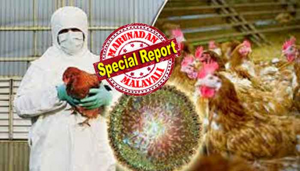 ബ്രോയിലർ കോഴിഫാമുകളിലെ അശാസ്ത്രീയതകൾ മറ്റൊരു വൈറസിനെ പുറത്തു ചാടിക്കും; ജനിതകമാറ്റം വരുത്തുന്ന കോഴികളും അവക്ക് കൊടുക്കുന്ന കൃത്രിമ ഭക്ഷണവും പ്രശ്നമാകും; ചിക്കൻ ഫാമുകളുടെ രീതികൾ അടിമുടി മാറണം; പക്ഷിപ്പനി പോലെ ചിക്കൻ ഇൻഫ്ളുവൻസ പൊട്ടിപ്പുറപ്പെട്ടാൽ കാര്യങ്ങൾ കൈവിട്ടു പോകും; ലോക ജനസംഖ്യയുടെ പകുതിയെ കൊല്ലാൻ സാധ്യതയുള്ള അടുത്ത മഹാമാരിയെ കുറിച്ചും മുന്നറിയിപ്പ്; അമേരിക്കൻ ശാസ്ത്രജ്ഞന്റെ പ്രവചനത്തെ ചൊല്ലി വൻ ചർച്ചയും ഭീതിയും