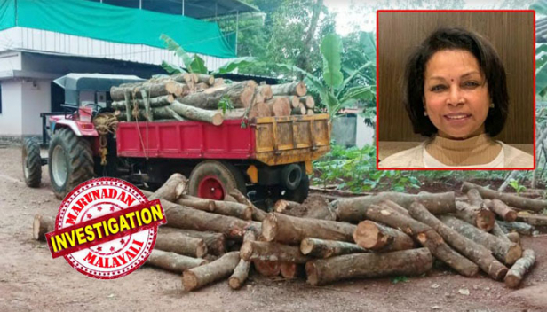 പി.വി.അൻവർ എംഎൽഎക്കെതിരെ പരാതി നൽകിയ ജയ മുരുഗേഷിന്റെ എസ്റ്റേറ്റിൽ നിന്നും മരങ്ങൾ മുറിച്ചു കടത്തി; ട്രാക്ടർ സഹിതം പൊലീസ് പിടിച്ചെടുത്തു; രണ്ടു പേർക്കെതിരെ കേസ്; മരംകടത്താൻ ഉപയോഗിച്ചത് നമ്പർ പ്ലേറ്റില്ലാത്ത ട്രാക്ടർ; റീഗൽ എസ്റ്റേറ്റിൽ അതിക്രമിച്ച് കടന്നത് മരങ്ങൾ മുറിക്കരുതെന്ന മഞ്ചേരി സബ് കോടതി ഉത്തരവ് നിലനിൽക്കെ; പരാതിയുടെ പേരിൽ വേട്ടയാടലെന്ന് ജയ