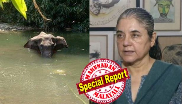 മണ്ണാർക്കാട് ഫോറസ്റ്റ് ഡിവിഷനിൽ സ്ഫോടകവസ്തു കടിച്ച് ആന ചരിഞ്ഞ സംഭവത്തിൽ മലപ്പുറത്തെ കുറ്റം പറഞ്ഞ് മനേക ഗാന്ധി; മലപ്പുറം ജില്ല മൃഗങ്ങൾക്കെതിരെയുള്ള ക്രൂരതയ്ക്ക് കുപ്രസിദ്ധമാണെന്ന് ബിജെപി നേതാവ്; ധാർമികത ഉണ്ടെങ്കിൽ വനംവകുപ്പ് മന്ത്രി രാജിവെയ്ക്കണമെന്നും മുൻ കേന്ദ്രമന്ത്രി