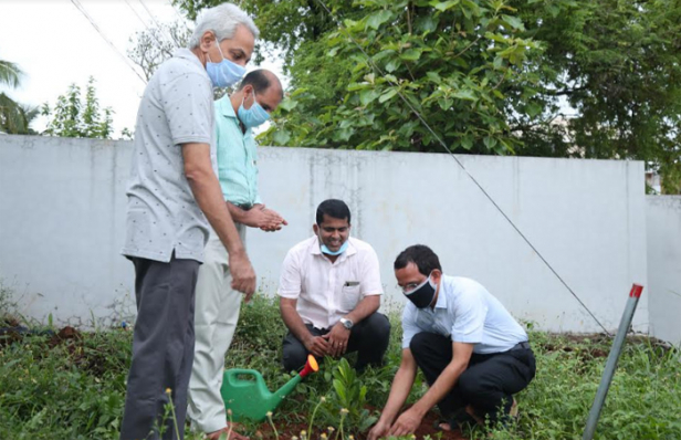 ലോക പരിസ്ഥിതി ദിനം: വൃക്ഷത്തൈ വിതരണവും ഓൺലൈൻ സെമിനാറും നടത്തി