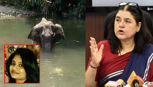 സ്റ്റാൻഡ് വിത്ത് മലപ്പുറം! സഖാക്കൾക്കിടയിൽ തിളച്ചു മറിയുന്ന, കുലംകുത്തിയൊഴുകുന്ന മലപ്പുറം സ്നേഹം കാണുമ്പോൾ പഴയത് ചിലത് ഓർമ്മ വരുന്നു! ഒപ്പം ചിലത് ചോദിക്കേണ്ടിയും വരുന്നു: അഞ്ജു പാർവതി പ്രഭീഷ് എഴുതുന്നു