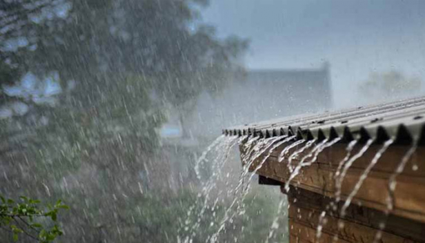 സംസ്ഥാനത്ത് ഇന്ന് ശക്തമായ മഴയ്ക്കുസാധ്യത; ഏഴ് ജില്ലകളിൽ യെല്ലോ അലർട്ട് പ്രഖ്യാപിച്ചു: ശക്തമായ കാറ്റിന് സാധ്യതയുള്ളതിനാൽ മത്സ്യത്തൊഴിലാളികൾ കടലിൽ പോകരുതെന്നും മുന്നറിയിപ്പ്