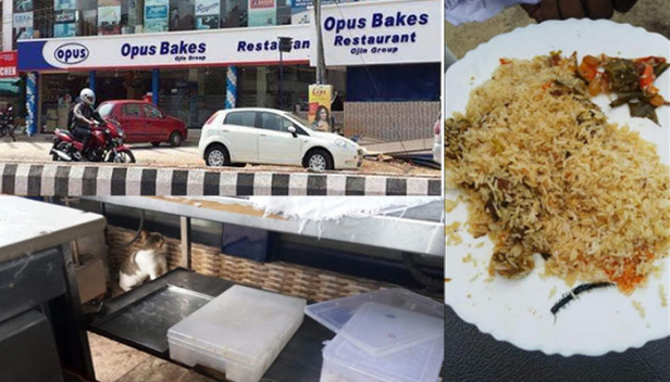 ബീഫ് ബിരിയാണിയിൽ നിന്നും ലഭിച്ചത് പഴുതാരയെ; ഭക്ഷ്യസുരക്ഷാവകുപ്പിന്റെ പരിശോധനയിൽ കണ്ടത് വൃത്തിഹീനമായ അടുക്കളയും പാത്രങ്ങളും; പൊറോട്ടമാവ് കുഴച്ചതിന് കാവലായി പൂച്ചയും; ലോക്ഡൗൺകാലത്ത് പാഴ്സൽ മാത്രം നൽകിയിരുന്ന കോഴിക്കോട് എരഞ്ഞിപ്പാലത്തെ ഓപ്പസ് ബേക്സ് അടച്ചുപൂട്ടി