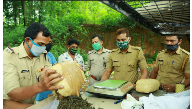 ചരക്കുലോറികളിലും പച്ചക്കറി ലോറികളിലും ഒളിപ്പിച്ചു വൻ കഞ്ചാവ് കടത്ത്; വിൽപന കേന്ദ്രങ്ങളിലേക്ക് എത്തിക്കുന്നത് ചെറുവണ്ടികളിൽ; ചെറുകിടക്കാർക്ക് വിൽപന കിലോയ്ക്ക് 50,000 രൂപ വെച്ച്; ഗുഡ്‌സ് ഓട്ടോയിൽ പുല്ല് നിറച്ച് ഒളിപ്പിച്ച കഞ്ചാവുമായി രണ്ടുപേർ പെരിന്തൽമണ്ണയിൽ പിടിയിൽ