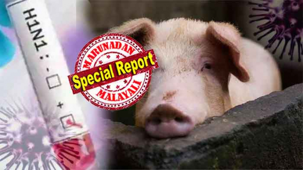 രക്തപരിശോധന പ്രകാരം 10.4% പന്നി ഫാം തൊഴിലാളികൾ രോഗബാധിതർ; ഇത് മനുഷ്യനിൽ നിന്ന് മനുഷ്യനിലേക്ക് പകരാമെന്നതിന് തെളിവില്ലാത്തത് മാത്രം ആശ്വാസം; കണ്ടെത്തിയത് മനുഷ്യരിലേക്ക് പകരാൻ സാധ്യതയുള്ള രോഗാണുവെന്ന വിലയിരുത്തലും സജീവം; സാധാരണ ഫ്ളുവിൽ നിന്നും മനുഷ്യനാർജിക്കുന്ന പ്രതിരോധം ജി4 വൈറസിനെ ചെറുക്കാനക്കില്ലെന്നും പഠനം; കൊറോണയ്ക്ക് പിന്നാലെ ഭീതിപ്പെടുത്തി പുതിയ തരം ഇൻഫ്ളുവൻസ വൈറസ് ചൈനയിൽ; കരുതലോടെ ലോകം