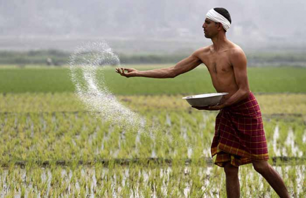 സുഭിക്ഷ കേരളം പദ്ധതി: കർഷക വരുമാനം വർധിപ്പിക്കുന്നതിന് ഏഴ് പ്രാദേശിക പദ്ധതികൾക്ക് ഭരണാനുമതി ലഭിച്ചു; അനുമതി നൽകിയത് 20 കോടിയുടെ പദ്ധതിക്ക്; കാർഷിക സബ്സിഡിയിൽ 10,000 രൂപ വരെ വർധന