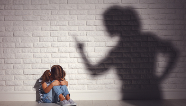 ആലുവയിൽ ആറു വയസ്സുകാരിയെ പീഡിപ്പിച്ച സംഭവം; അന്വേഷണം ക്രൈംബ്രാഞ്ചിനെ ഏൽപ്പിക്കണമെന്ന് ബാലാവകാശ കമ്മിഷൻ