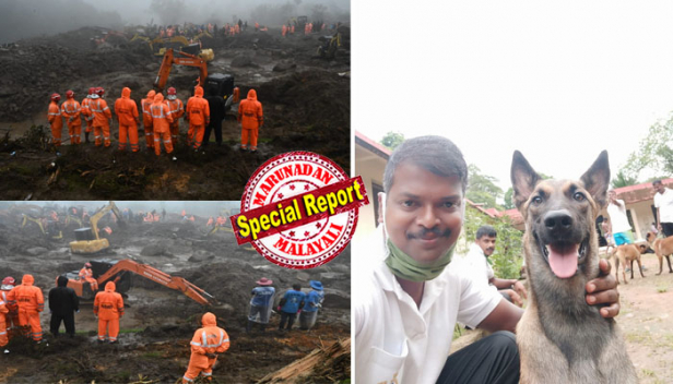 അഞ്ചുമണിക്കൂർ വരെ തുടർച്ചയായി വിശ്രമമില്ലാതെ അദ്ധ്വാനം; കാട്ടിനുള്ളിലെ തെരച്ചിലിനും സ്ഫോടക വസ്തുക്കൾ കണ്ടെത്തുന്നതിനും പ്രത്യേകം പരിശീലനം സിദ്ധിച്ചവർ; രാജമലയിൽ മൃതദേഹങ്ങൾ കണ്ടെത്താൻ പൊലീസ് നായ്കളും; മണ്ണിനടിയിൽ നിന്ന് മൂന്ന് പേരുടെ മൃതദേഹങ്ങൾ കണ്ടെത്തിയത് ലില്ലി; ബൽജിയം മെലിനോയിസ് വിഭാഗത്തിൽപ്പെട്ട ലില്ലിക്ക് പത്ത് മാസം മാത്രം പ്രായം