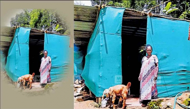 ഒരു ലക്ഷം രൂപ ബാങ്കിൽ ഇട്ടെന്ന് റവന്യൂ അധികൃതർ; അക്കൗണ്ടിൽ പത്ത് പൈസ വന്നിട്ടില്ലെന്ന് ബാങ്കും: അഞ്ച് സെന്റ് സ്ഥലവും വീടും ഉരുൾപൊട്ടലിൽ തകർന്ന മേരിക്കുട്ടി അധികൃതരുടെ കനിവിനായി കാത്തിരിക്കുന്നു